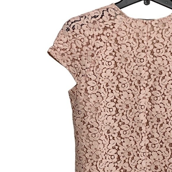 NWOT Zara Lace Overlay Mini Dress Size XS Light Pink Cap Sleeve Fairy - Picture 10 of 15